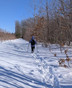 Trail breaking Photo: Nancy Halloran