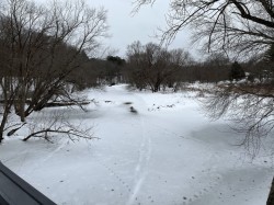 Assabet river Photo: Mary Small