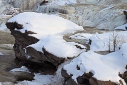 Tracks Photo: Judy Sweet